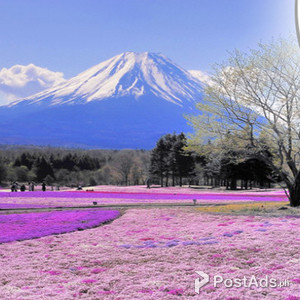 JAPAN TOUR PACKAGES 2018 WITH AIRFARE INCLUDED | PostAds PH