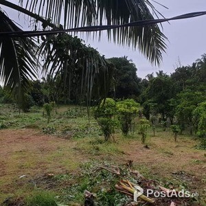 Lot for Sale In Esperanza Alfonso Cavite 1,000sqm | PostAds PH