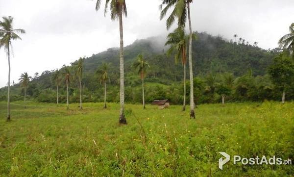 Vacant Land for Development in Ligao City, Albay