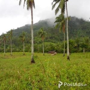 Vacant Land for Development in Ligao City, Albay | PostAds PH