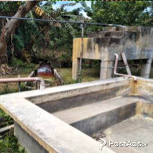 Commercial Resort in Quezon Province | PostAds PH