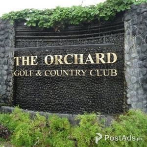 The Orchard Residential lot | PostAds PH