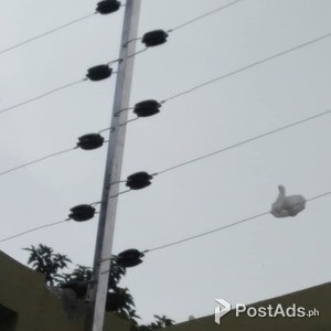 Electric Fence | PostAds PH