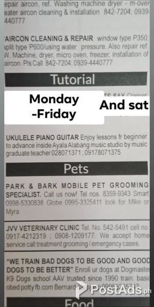 Ukulele Lessons Online 