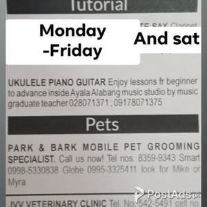 Ukulele Lessons Online | PostAds PH