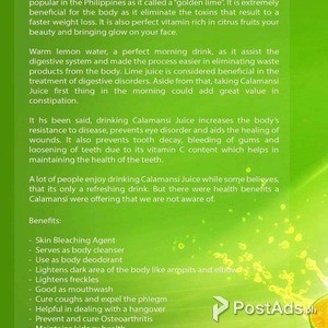 Super Calamansi with Honey No Preservatives | PostAds PH