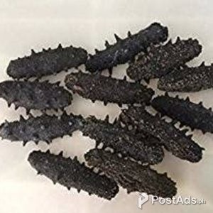 Buy Dried sea cucumber Philippines | PostAds PH