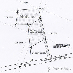 Commercial Land for sale 3,794 sq.m. at Brgy. Calihan, San Pablo City | PostAds PH