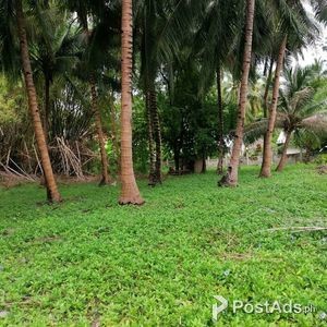 1,920 sq.m. Prime Lot for SALE in Oslob Cebu | PostAds PH