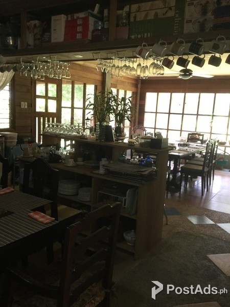 FOLIAGE FARM/VACATION HOUSE