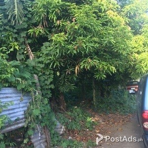 RESIDENTIAL LOTS AT | PostAds PH