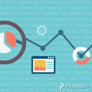 Data Analyst | PostAds PH