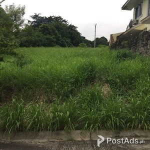 180sqm lot in elevated , flood free area of San Pedro Laguna | PostAds PH