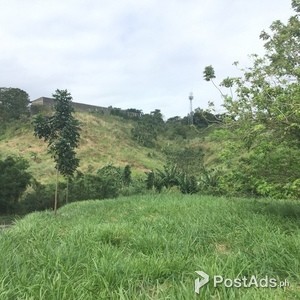 Corner lot in elevated subdivision in San Pedro Laguna | PostAds PH
