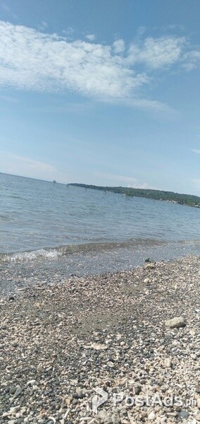 3 Hectares Beachlot with Full of coconut trees