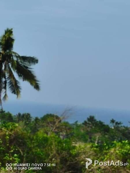 Portion Lot with Overlooking Seaview 240k only