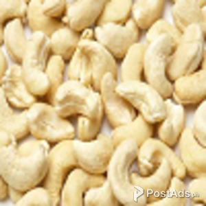 Vietnamese Cashew Nut Kernels ww240 | PostAds PH