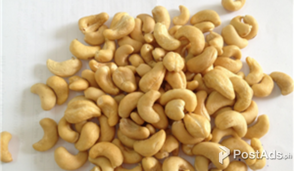 Vietnamese Cashew Nut Kernels LBW240, SW320