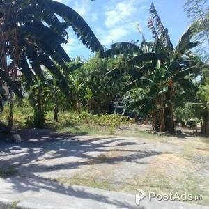 Lot for Sale at Royale Estates, Las Pinas | PostAds PH