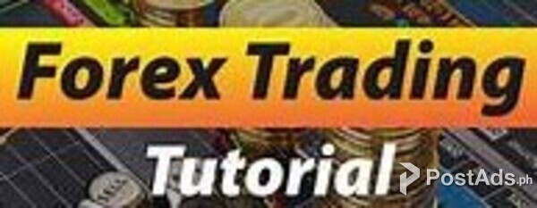 Free Forex Trading Webinar