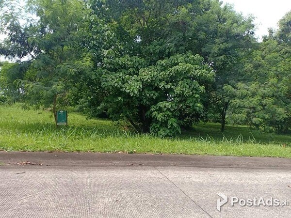 Ayala Greenfield Estate Lot for sale
