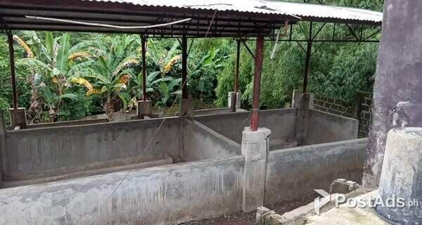 800 SQM House and gated lot with piggery for sale in SJDM Bulacan 
