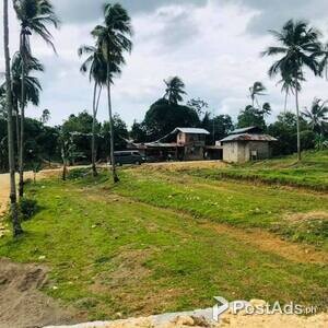 11 Hectares farm Lot, Paambitan nya pwede tukod dayon | PostAds PH