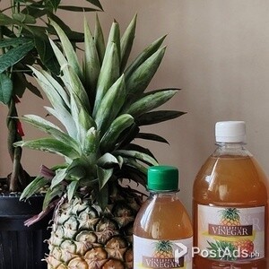 Pineapple Vinegar | PostAds PH