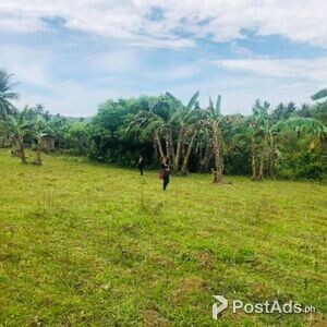 FARM LOT TUKOD DAYON sa BARILI | PostAds PH