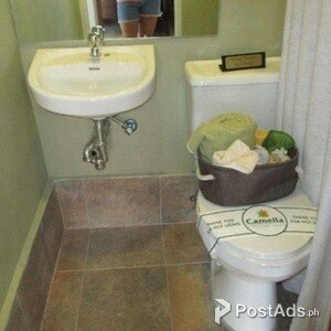 CORNER HOUSE WITH BIG LOT AREA RIVERFRONT CAMELLA TALAMBAN | PostAds PH