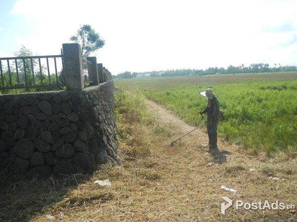 13.4 HA FARM LAND PILA, LAGUNA- RUSH SALE