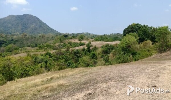 82 HECTARES AGRICULTURAL LAND