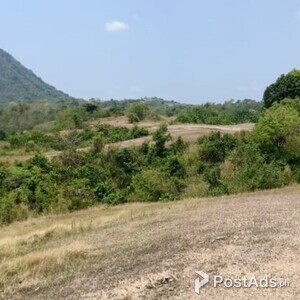 82 HECTARES AGRICULTURAL LAND | PostAds PH