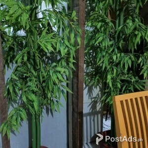 Artificial Bamboo Plant | PostAds PH