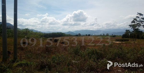 6.3 HECTARES LAND