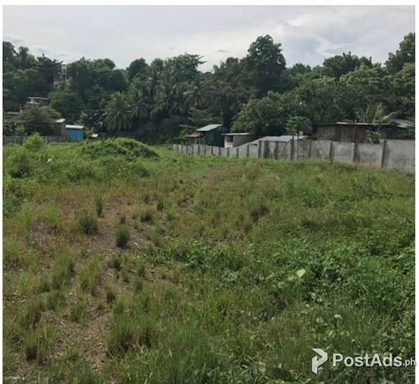 4,665 SQM Commercial Lot in Jacobiao Mandaue