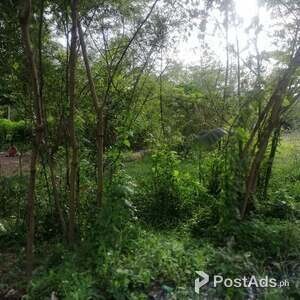 8335 SQM Residential Industrial Lot in Liloan | PostAds PH