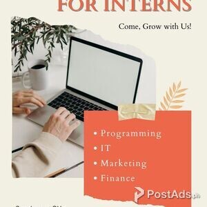 Internship for Programming, IT , marketing, finance Student | PostAds PH