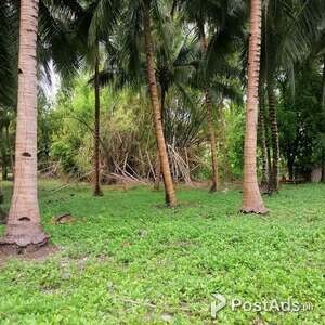 1929 SQM Oslob Commercial Lot | PostAds PH