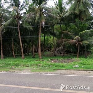 1929 SQM Prime Commercial Lot for SALE in Oslob | PostAds PH