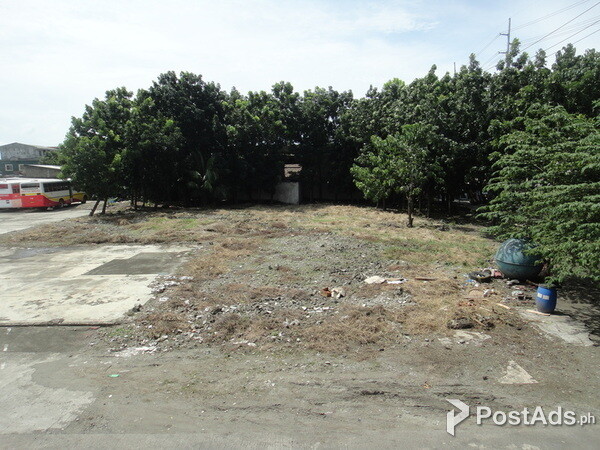 VACANT LOT FOR LEASE IN LAGUNA