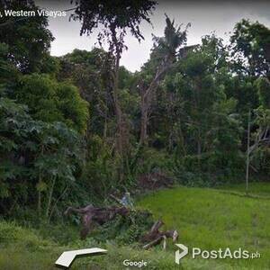 PRIME RAW LAND FOR SALE RUSH | PostAds PH