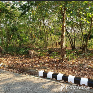 ANTIPOLO LOT FOR SALE BESIDE PINTO ART MUSEUM | PostAds PH