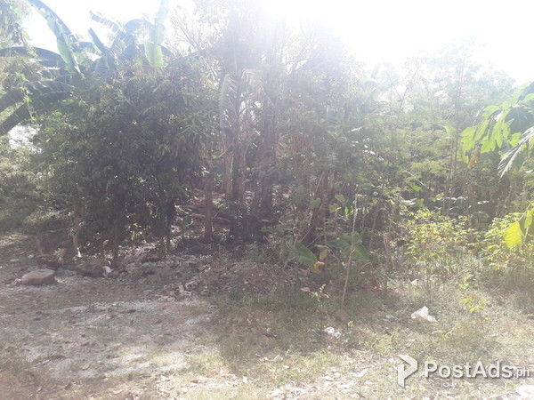 lot land farm raw land agricultural residential