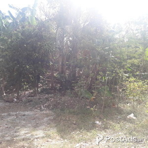 lot land farm raw land agricultural residential | PostAds PH