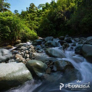 LOT FORESSA MOUNTAIN TOWN CEBU | PostAds PH