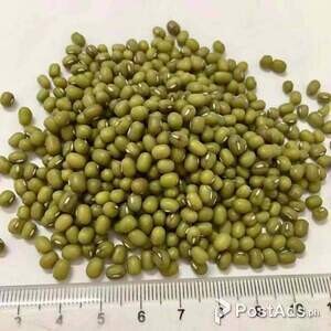 Green Mung Beans | PostAds PH