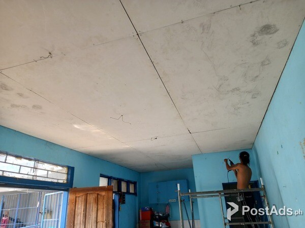 Acoustic Ceiling Board