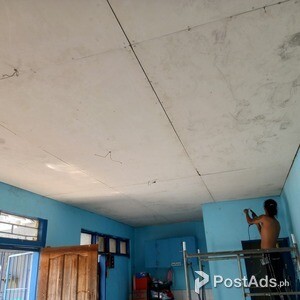 Acoustic Ceiling Board | PostAds PH