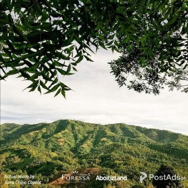 LOT FOR SALE FORESSA MOUNTAIN TOWN BALAMBAN CEBU BY ABOITIZLAND